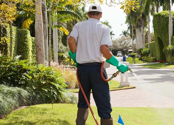 About Sanbornton NH Pest Control